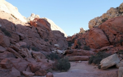 Calico Tanks Trail