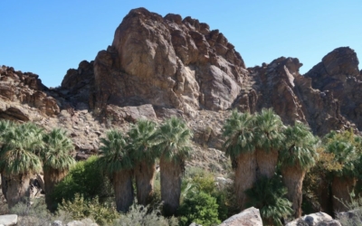 Indian Canyons