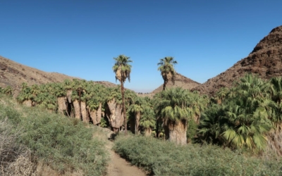 Indian Canyons