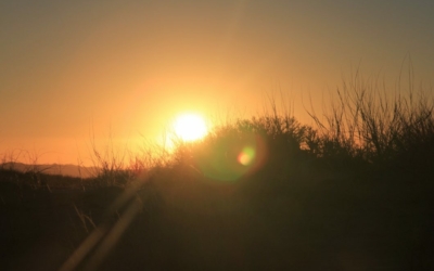 Kelso Dunes