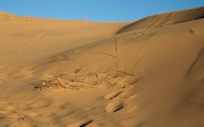 Kelso Dunes