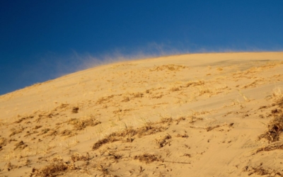 Kelso Dunes