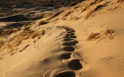 Kelso Dunes