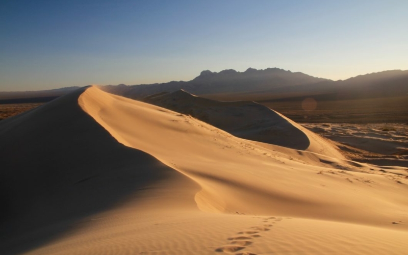 Kelso Dunes
