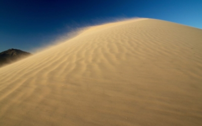 Kelso Dunes