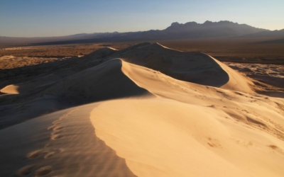 Kelso Dunes