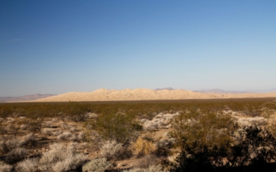 Kelso Dunes