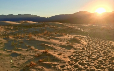 Kelso Dunes
