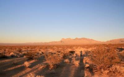 Kelso Dunes