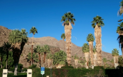 Palm Springs