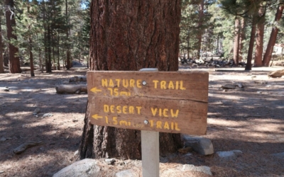 Mount San Jacinto State Park