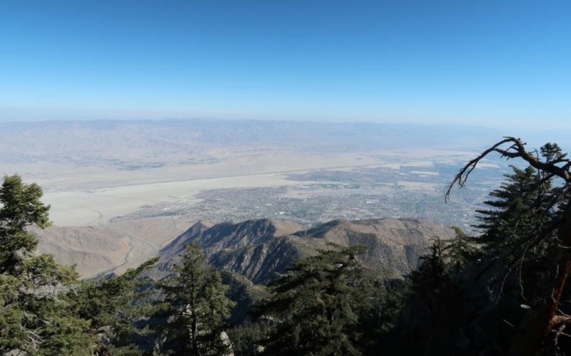 Mount San Jacinto State Park