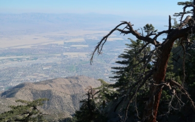 Palm Springs Aerial Tramway