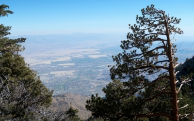 Mount San Jacinto State Park