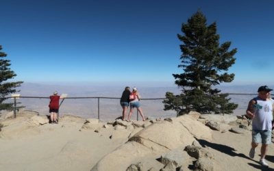 Mount San Jacinto State Park