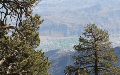 Mount San Jacinto State Park