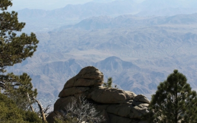 Mount San Jacinto State Park