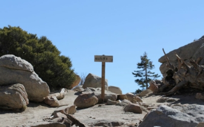 Mount San Jacinto State Park