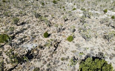 Teutonia Peak Trail