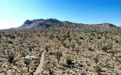 Teutonia Peak trail