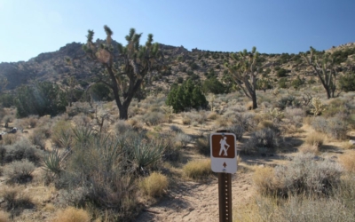 Teutonia Peak trail