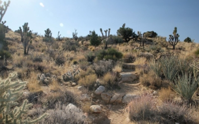 Teutonia Peak trail