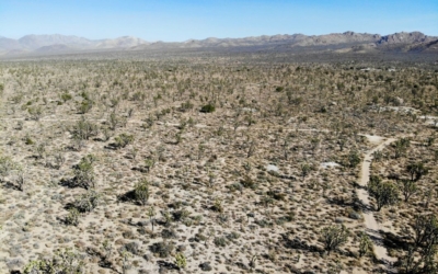 Teutonia Peak Trail