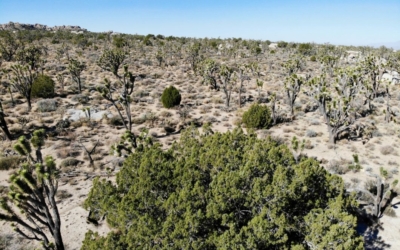 Teutonia Peak Trail