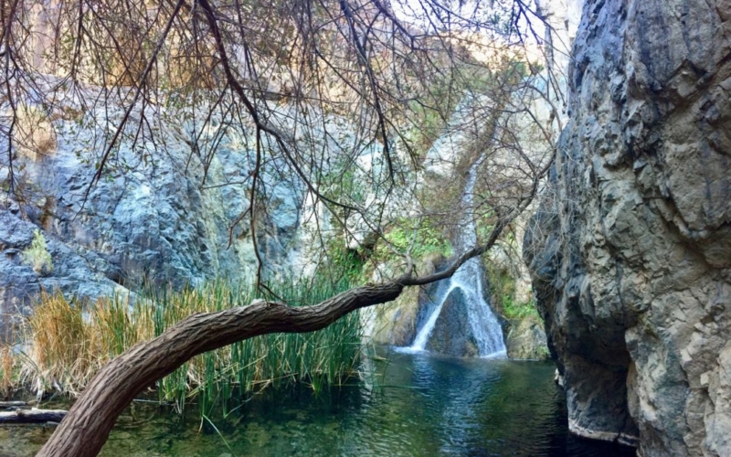 Darwin Falls