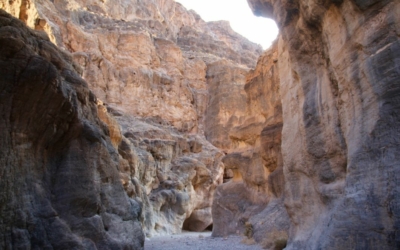 Fall Canyon