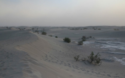 Mesquite Flat Sand Dunes