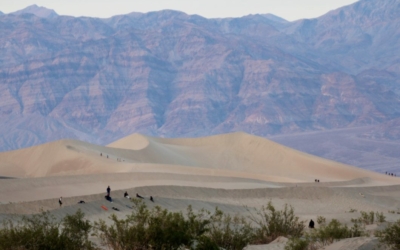 Mesquite Flat Sand Dunes