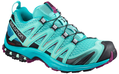 salomon xa Pro 3D