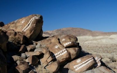 Fish Rocks
