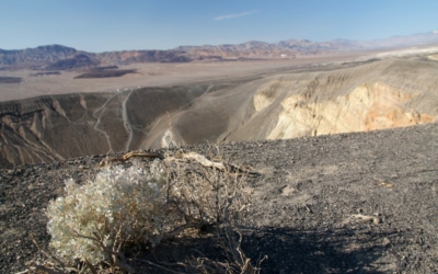 Ubehebe Crater