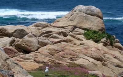 17 Mile Drive