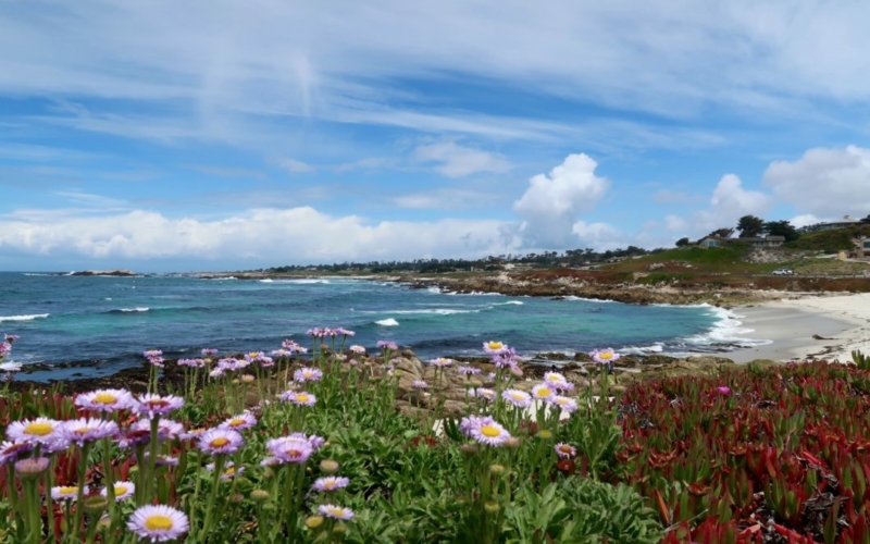 17 Mile Drive