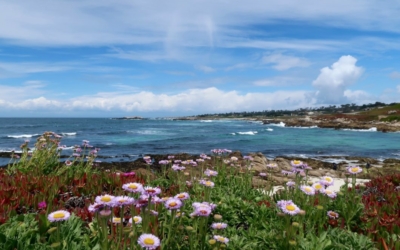 17 Mile Drive