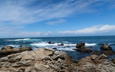 littoral 17 Mile Drive