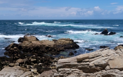 littoral 17 Mile Drive