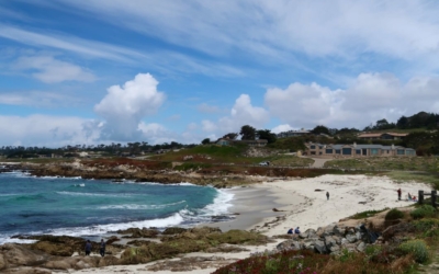 littoral 17 Mile Drive