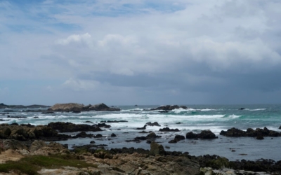 littoral 17 Mile Drive