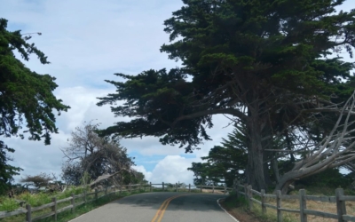 17 Mile Drive