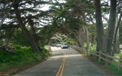 17 Mile Drive