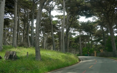 17 Mile Drive