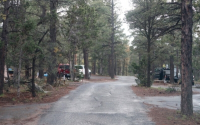 boucle Mather Campground