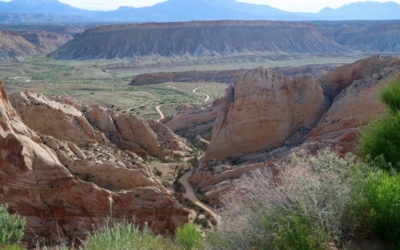 Switchbacks