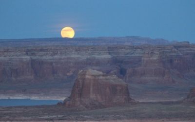 paysages Alstrom Point