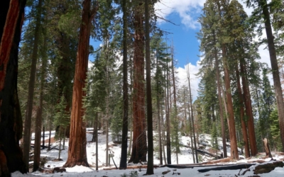 Congress Trail