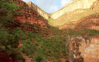 Descendre au fond du Grand Canyon